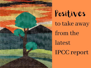 Positives We Can Take From the Latest IPCC Climate Change Report