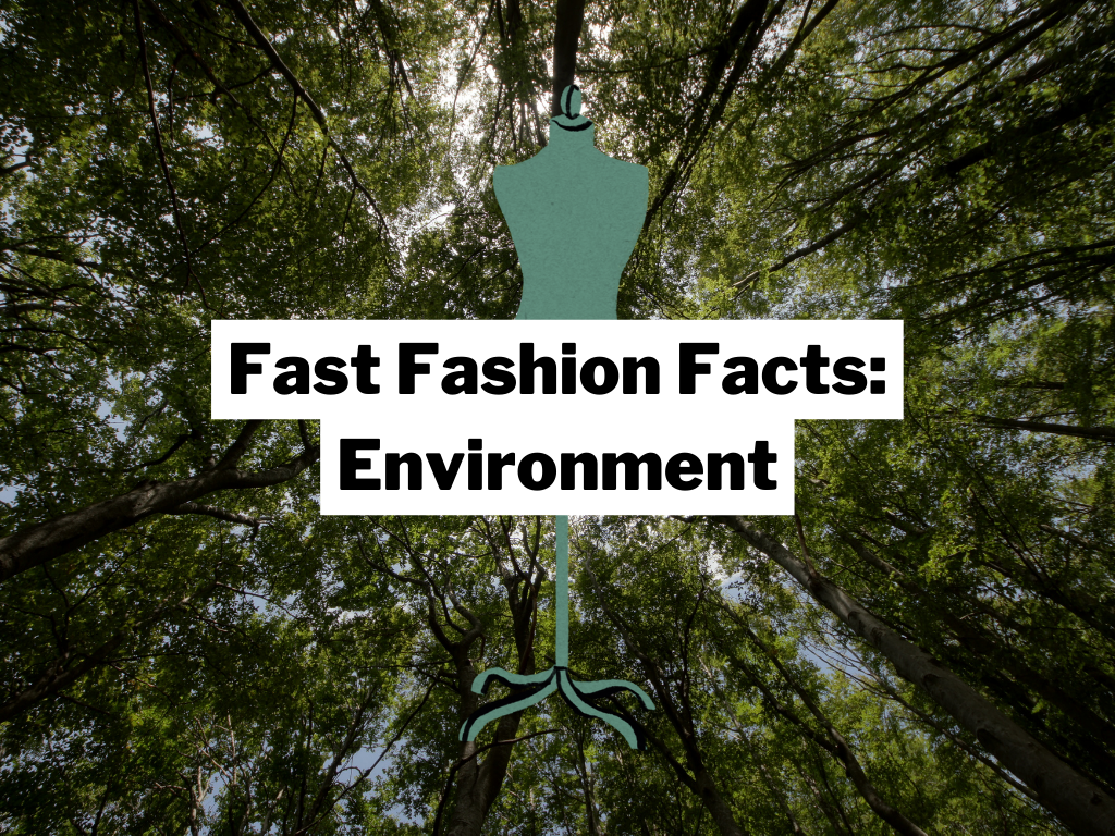 Fast Environment Fast Fashion Environmental Impact Facts 2024 – Green Heart Collective