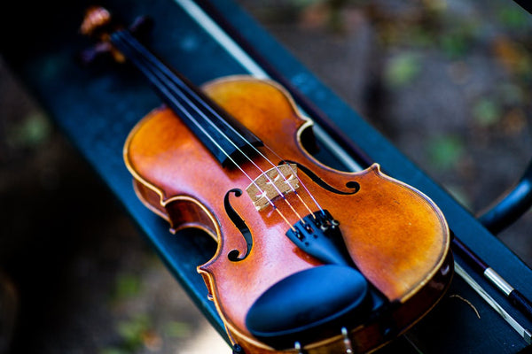What Matters? Music Matters