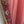 Upcycled Sari Pink Embellished Kimono One Size