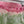 Upcycled Sari Pink Straight Skirt S