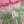 Upcycled Sari Pink Straight Skirt S