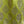 Upcycled Sari Chartreuse Long Embellished Skirt M