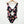 Load image into Gallery viewer, City Chic Black Floral Print Cut Out V-Neck One Piece Swimsuit UK 18
