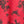 Papaya Red & Black Polka Dot Floral Print Long Sleeve Top UK 14