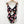 Load image into Gallery viewer, City Chic Black &amp; Pink Floral Print Cut Out One Piece Swimsuit UK 16
