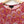 Topshop Pink Sparkle Daisy Floral Sheer Short Sleeve Crop Top UK 10