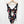 Load image into Gallery viewer, City Chic Black Floral Print Cut Out V-Neck One Piece Swimsuit UK 18
